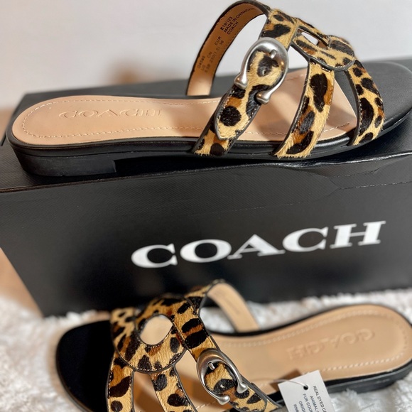 Coach - Picture 4 of 10